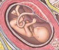 40 semana del embarazo del dolor en lo bajo del vientre y el dolor en la espalda